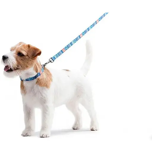 Повідець для собак Waudog Nylon нейлоновий, малюнок "Етно синій" - фото 6