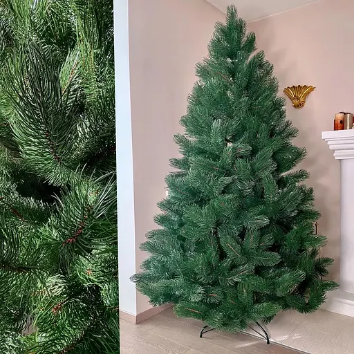 Сосна Hvoya лита 220 см - фото 4