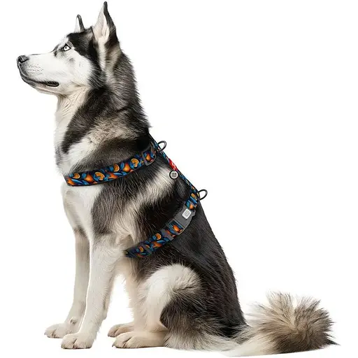 Шлея для собак Waudog анатомічна H-подібна Nylon з QR-паспортом Апельсини XL 3.5х 60-100 см - фото 3