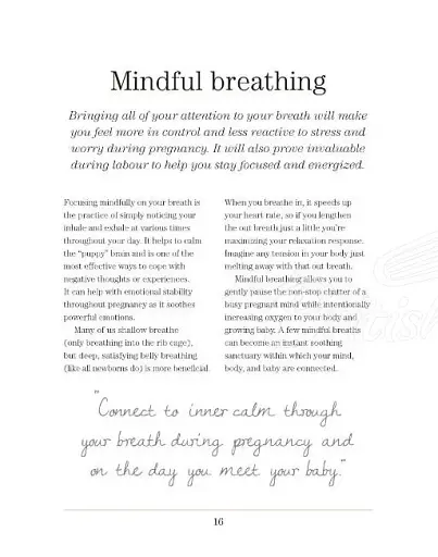 Mindful Pregnancy - фото 2