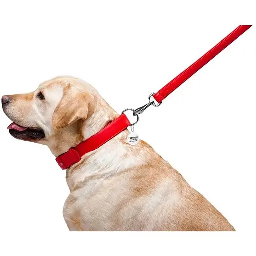 Повідець для собак Waudog Glamour шкіряний, червоний - фото 6