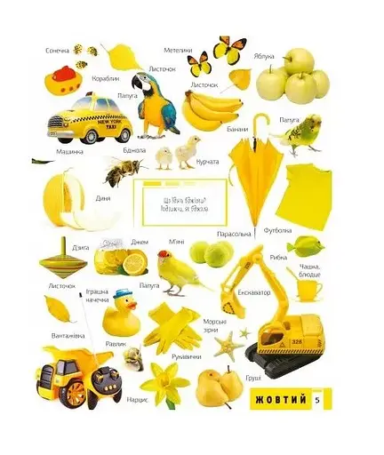 Книга 500 первых слов. Изучаем цвета. Развиваем внимание. Автор – Жученко Мария (Vivat) - фото 3