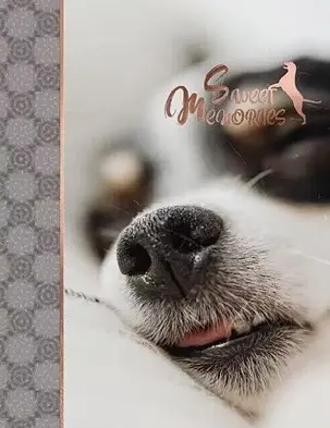 Альбом UFO PP-46200 Enjoy 10x15x200см (PP-46200 Enjoy) - фото 1