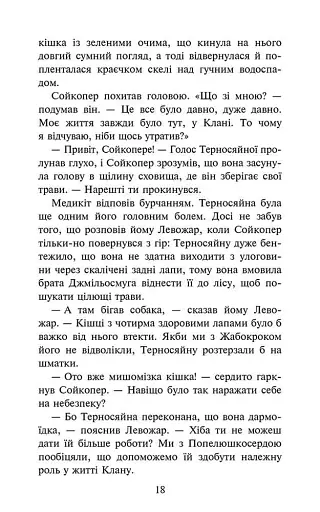 Знамення Зореклану. Книга 5. Забутий вояк - фото 3