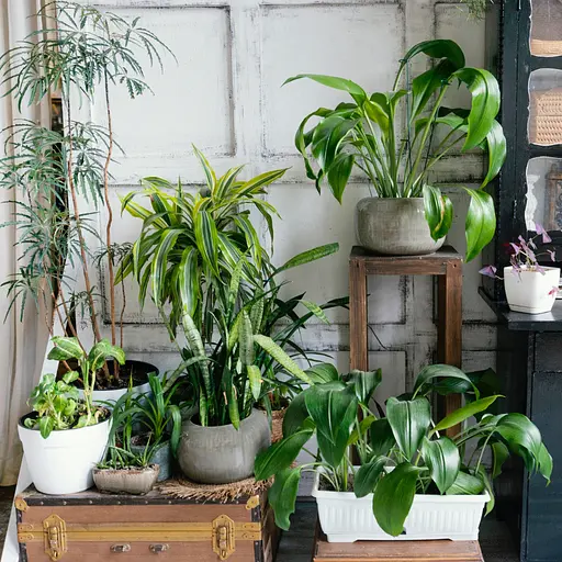 Торфосмесь универсальная COMPO Complete® 5 л - фото 11