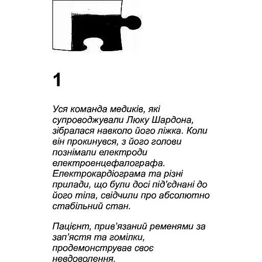 Світовий бестселер: Пазл - Франк Тільє (553656) - фото 2