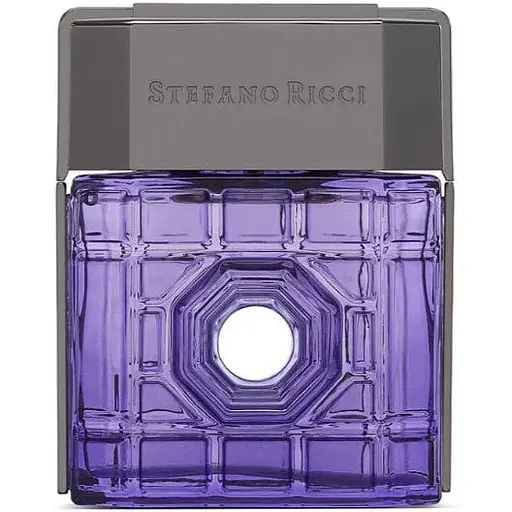 Парфумована вода оригінал Stefano Ricci New York 100 мл - фото 1