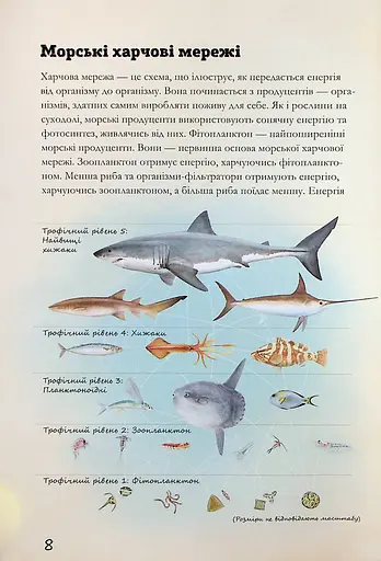 Морські тварини світу. Нотатки, малюнки та спостереження про тварин, що живуть в океані - фото 9