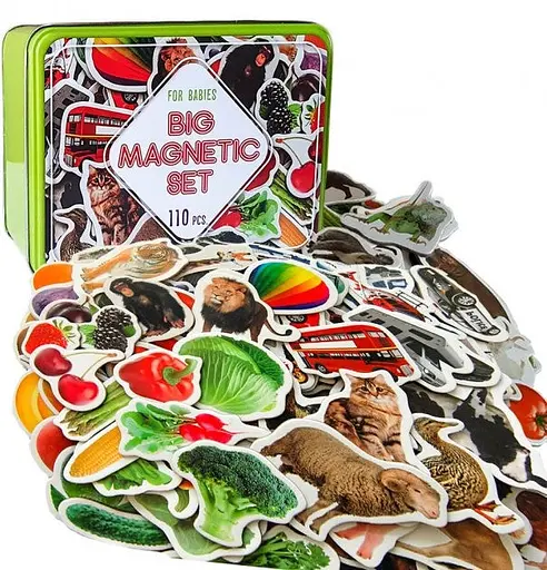 Набор магнитов Magdum Большой подарочный набор 110 шт ML4031-63 EN