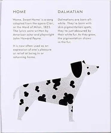 Mini Stories - фото 5