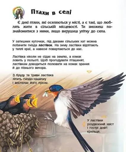 Енциклопедія дошкільника: Птахи - фото 3