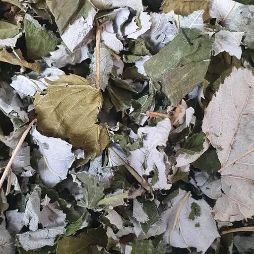 100 г малина лист сушений - свіжий урожай