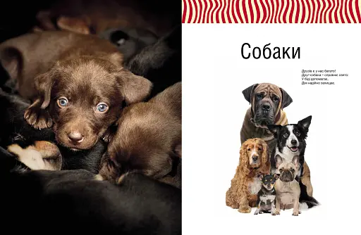 Малята звірята - фото 2