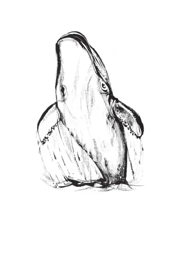 Розповіді про море - фото 5