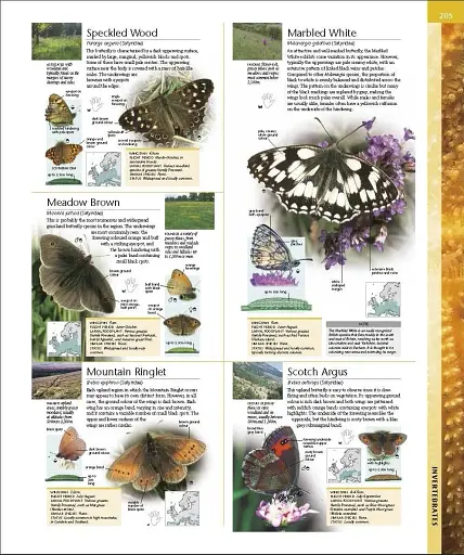 Wildlife of Britain and Ireland - фото 14