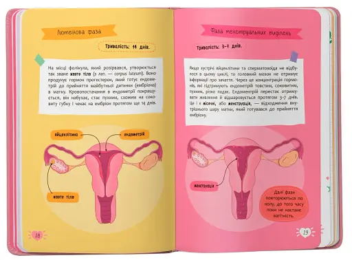 Путівник підлітка. Усе про місячні - фото 6