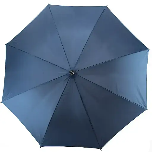 Парасолька Semi Line Blue L2037-1 (DAS303548) - фото 2