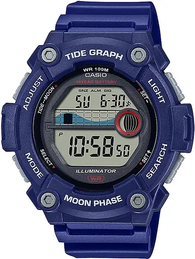 Годинник CASIO WS-1300H-2AVEF