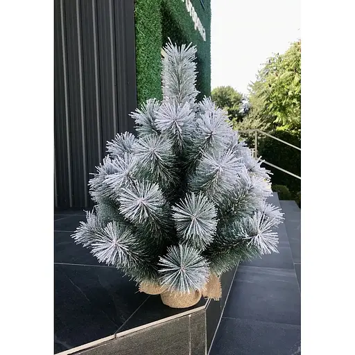 Сосна Hvoya Lux 70 см в мешковине заснеженная - фото 5