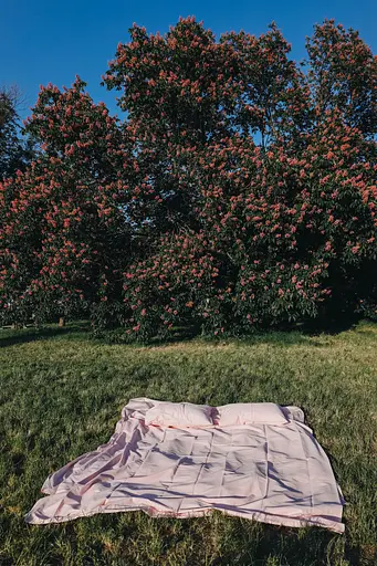 Комплект постельного белья сатин 100% розовый хлопок Baby Pink - двуспальный - фото 6