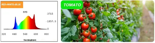 Світильник для рослин Brille FLF-09 LED 9W Fito Grow Red+White+Blue - фото 9