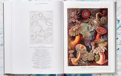 The Art and Science of Ernst Haeckel - фото 13