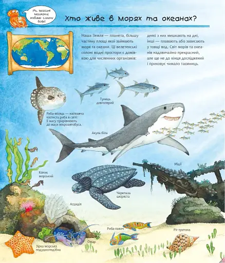 Досліджуємо морських тварин - фото 2