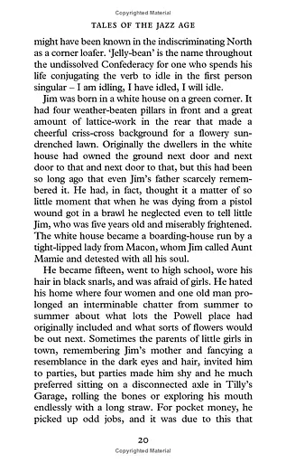 Tales of the Jazz Age - фото 4