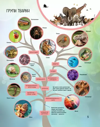 Тварини - фото 6