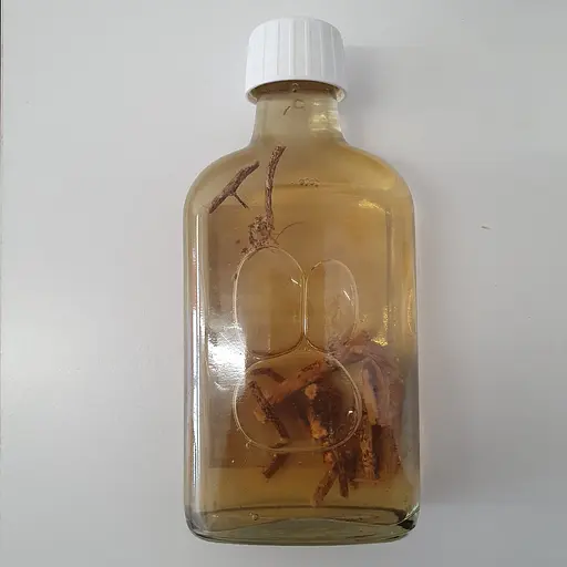 Водна настоянка на корінні стальник 200 мл - фото 2