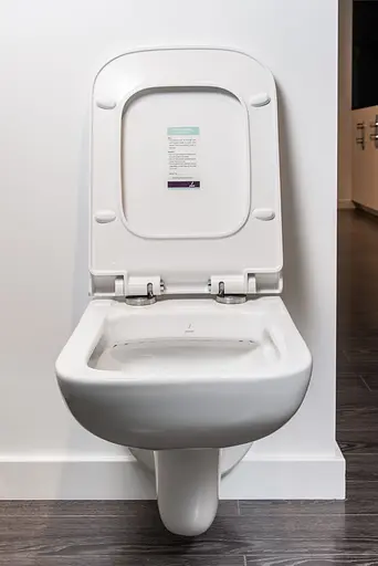 Унитаз подвесной Jaquar Florentine FLS-WHT-5953UFSM с сидением Soft Close, Белый - фото 3