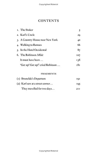 The Man Who Disappeared (America) - фото 7