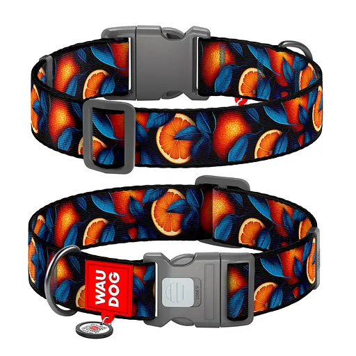 Ошейник для собак нейлоновый Waudog Nylon с QR-паспортом "Апельсины" пластиковый фастекс XXL Ш 35 мм Д 46-70 см