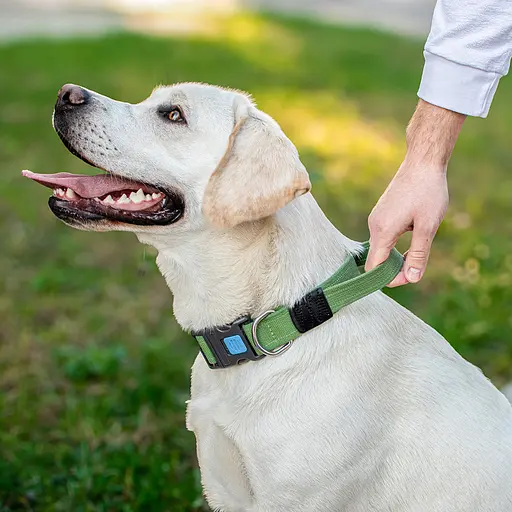 Нашийник для собак з ручкою бавовняна тасьма CoLLaR Брезент пластиковий фастекс L Ш 35 мм Д 53-69 см - фото 2