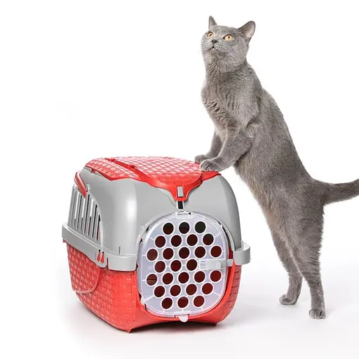 Переноска для тварин пластикова MAXY TOUR 59x38x37h, бордовий - фото 4