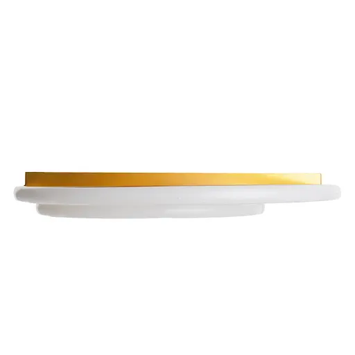 Светильник настенный-потолочный для ванной Brille WBL-50C/84W - фото 8