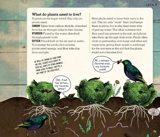 Grow. A Family Guide to Growing Fruit and Veg - фото 10