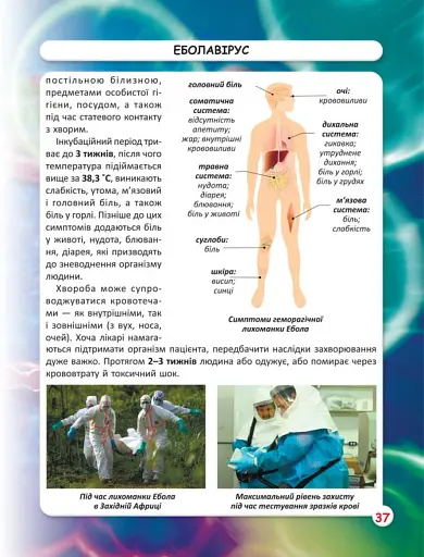 Світ навколо нас. Віруси - фото 5