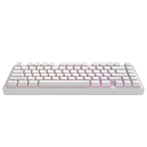 Клавиатура Dark Project ALU81 Terra Nostra PBT RGB Mech G3MS Moonstone White (DPKB_NOSTRA_81_ANSI_WHITE_UA) - фото 6