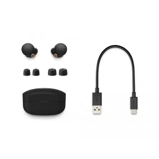 Навушники TWS Sony WF-1000XM4 Black - фото 2