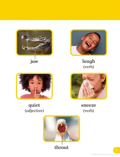 Do You Know? Level 1 Animal Sounds. BBC Earth - фото 4