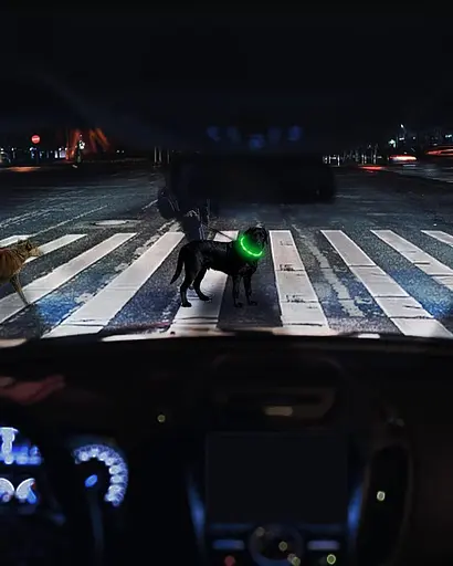 Нашийник для собак Joytale Light Up, світлодіодний нашийник для нічної ходьби, що перезаряджається непромокаючий, м'який - фото 4