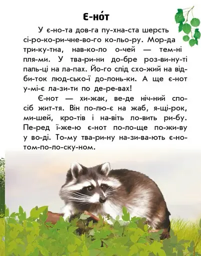 Читаю про Україну. Тварини лісів - фото 7