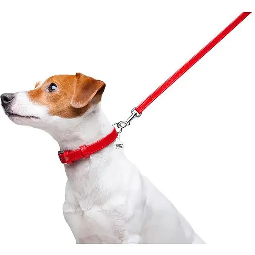 Повідець для собак Waudog Glamour шкіряний, червоний - фото 5