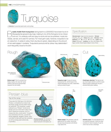 The Definitive Visual Guide: Jewel - фото 6