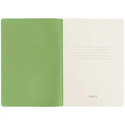 Книга записна Axent Turnowsky Secret Garden А5 60 аркушів у клітинку (8710-2-A-TR) - фото 5