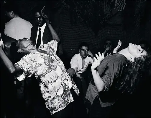 Photography: A History 1839 - Now (History of Photography Volume I-IV) - фото 4