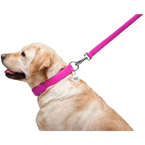 Повідець для собак Waudog Glamour шкіряний, рожевий - фото 6