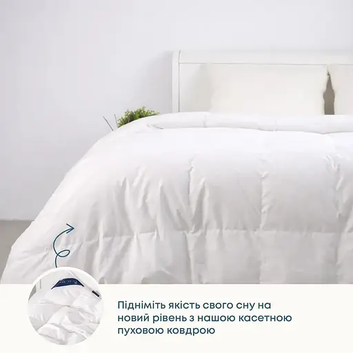 Одеяло ТЕП Cote Blanc Пухово-кассетное 200x220 см белый (1-04087_00000) - фото 3