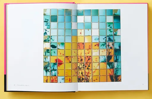 Polaroid Now. The History and Future of Polaroid Photography - фото 6